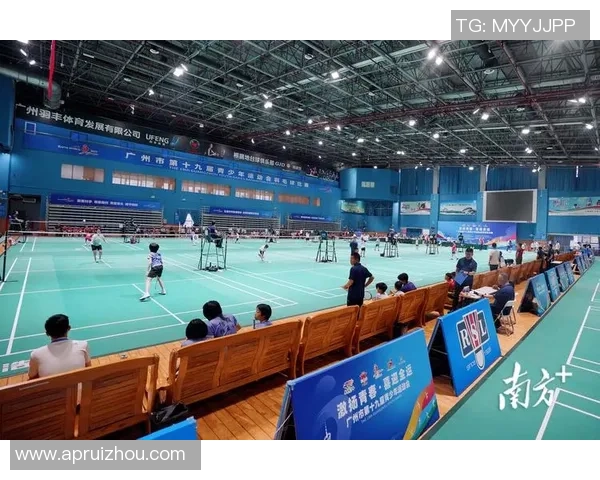 武汉羽毛球队的速度之美：探索羽毛球运动的魅力与发展