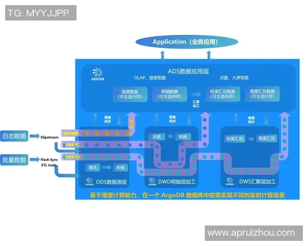 深入剖析杭州篮球队战术表现与数据分析的关系与影响