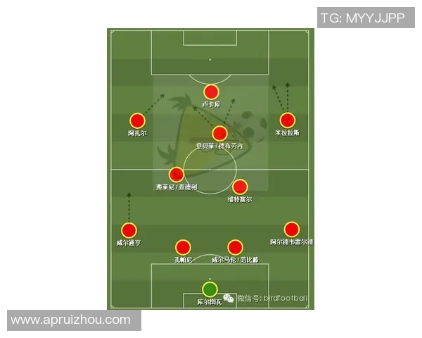 独家解析西安排球队节奏对比及其战术影响分析